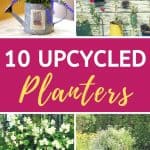 Upcycled planters