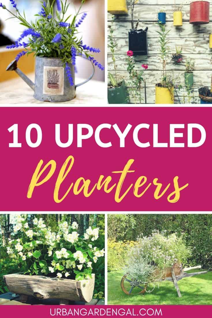 Upcycled planters