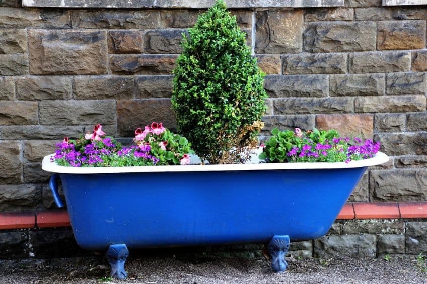 Bath planter pot