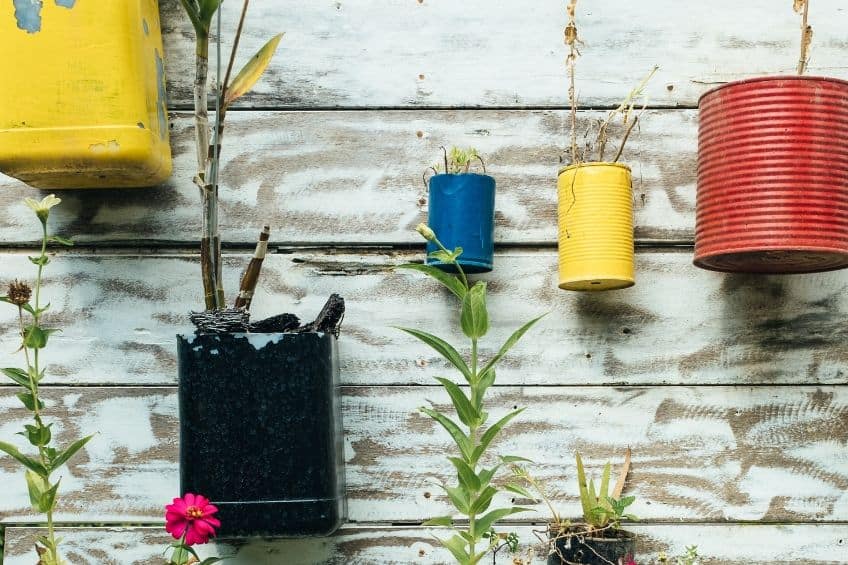 Upcycled tin can plant pots