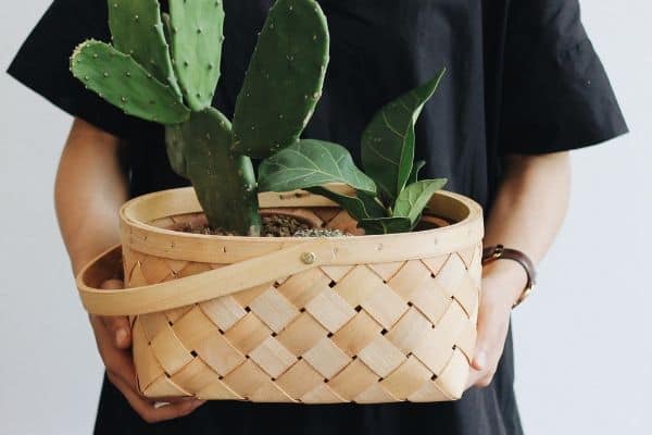 Basket planter pot