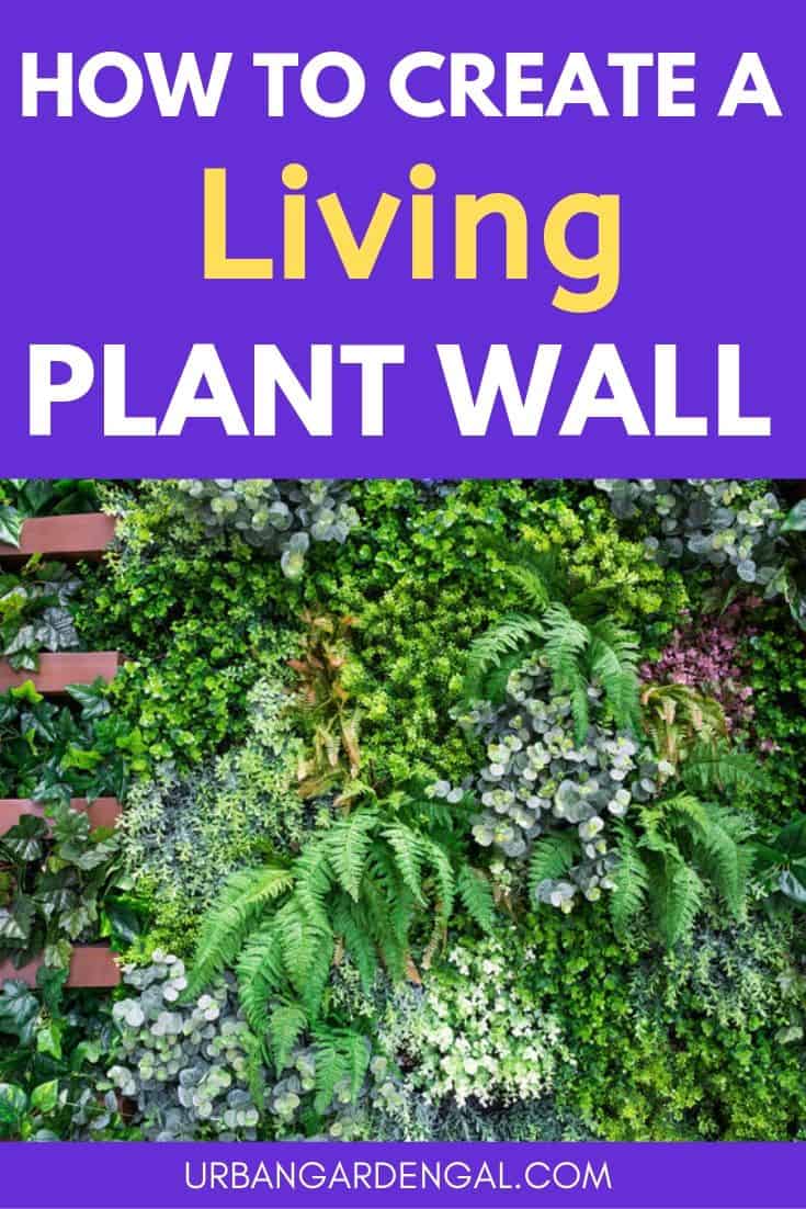 How to create a living plant wall