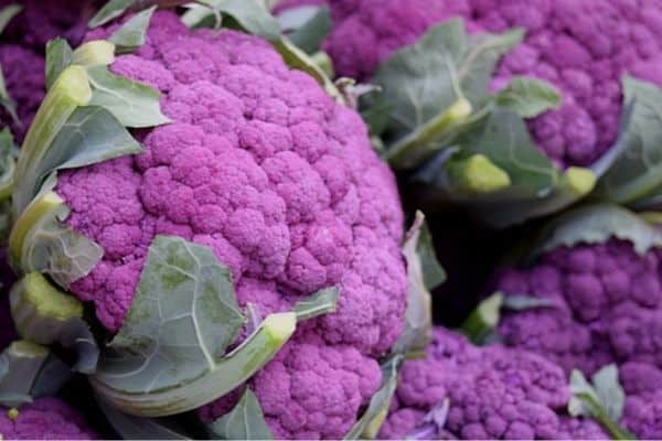 purple cauliflower