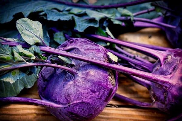 purple kohlrabi