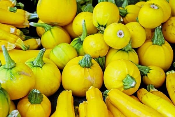 yellow squash