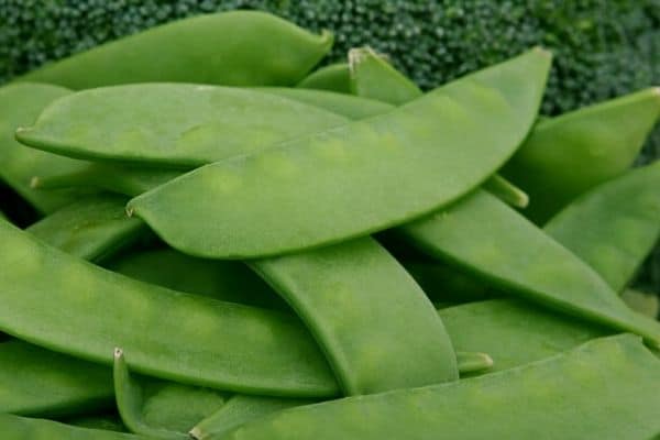 freshly picked snow peas