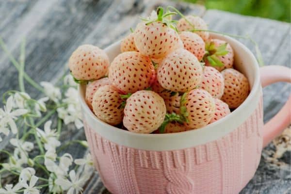 Pineberries in a bowl