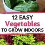 easy vegetables to grow indoors