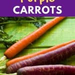 grow purple carrots