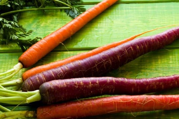 orange and purple carrots