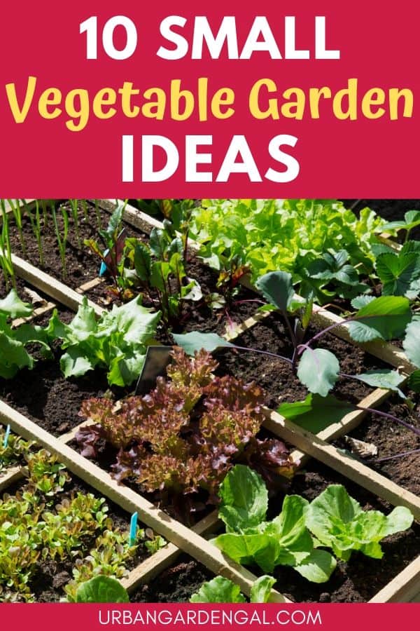 small vegetable garden ideas