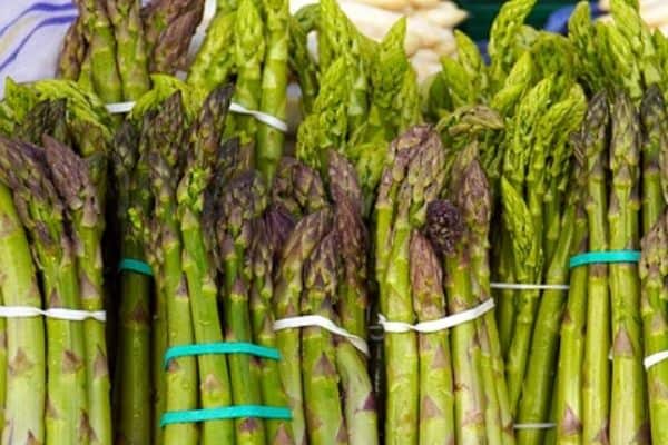 asparagus