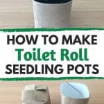 toilet roll seedling pots