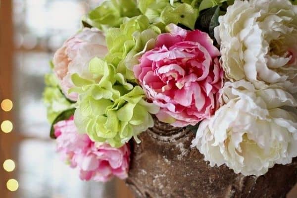 colored peonies in a vase