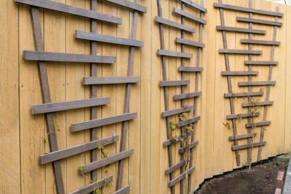 timber fence trellis