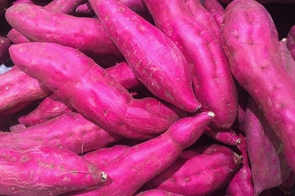 purple sweet potatoes