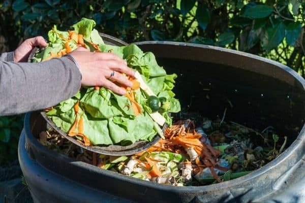 small compost bin