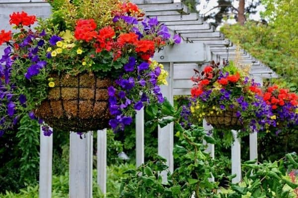 hanging flower baskets