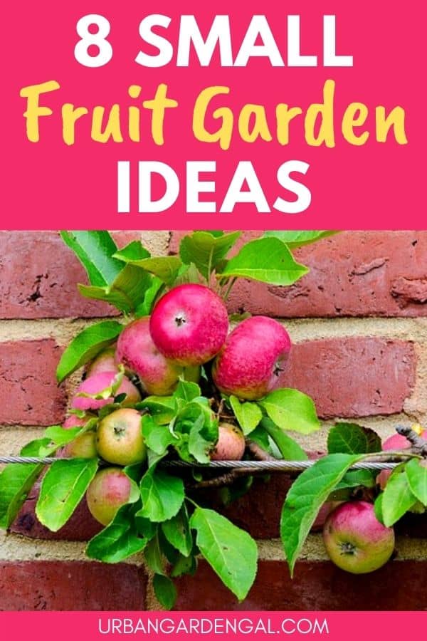 small fruit garden ideas