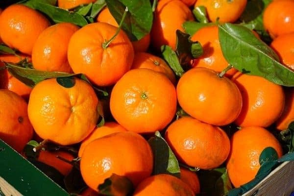 mandarin orange fruit