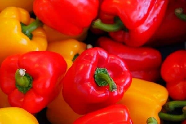 red vegetable plants