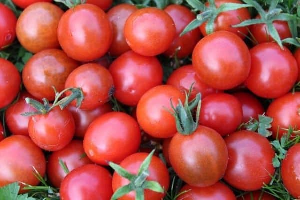 small tomatoes