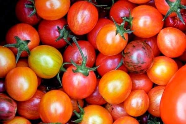 small tomato varieties