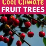 fruit trees for cold climates