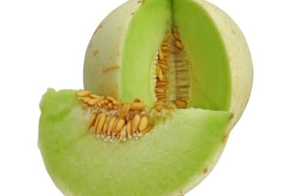 honeydew melon