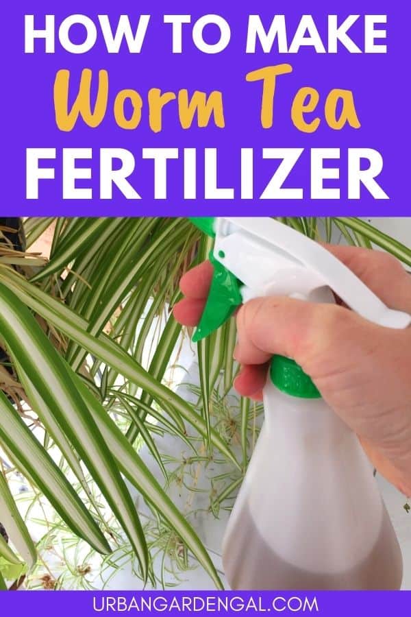 worm tea fertilizer
