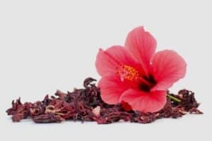 Read more about the article How To Dry Hibiscus Flowers