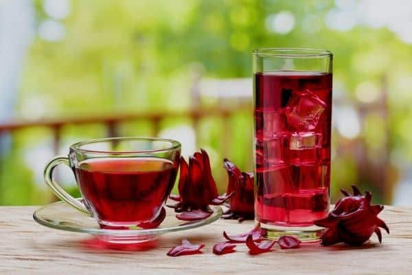 hibiscus tea