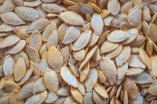 pumpkin seeds