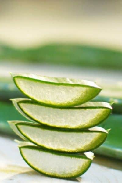 aloe vera leaf