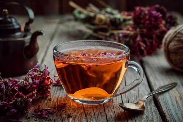 echinacea tea