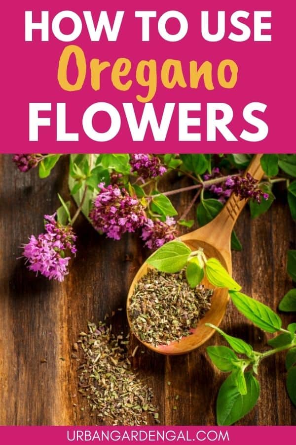 using oregano flowers