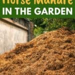 horse manure for the garden