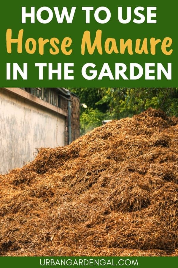 using horse manure in the garden