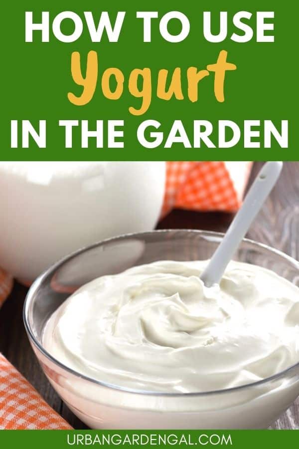 using yogurt in the garden