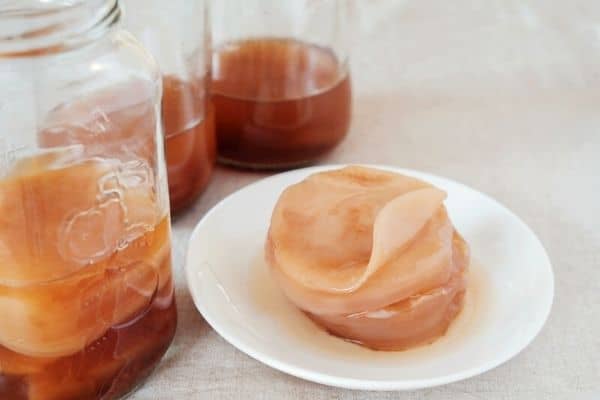 kombucha scoby