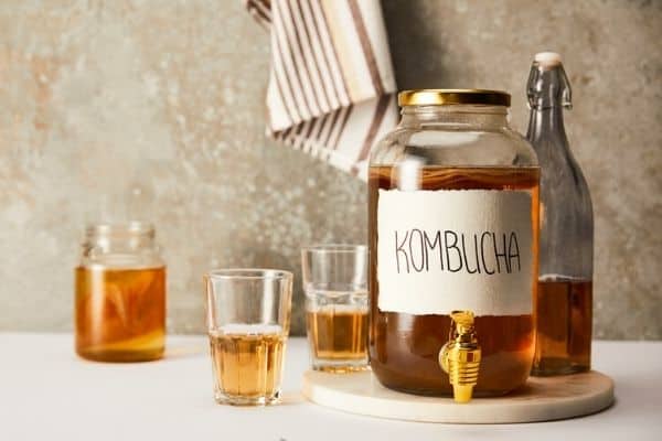 kombucha tea for plants