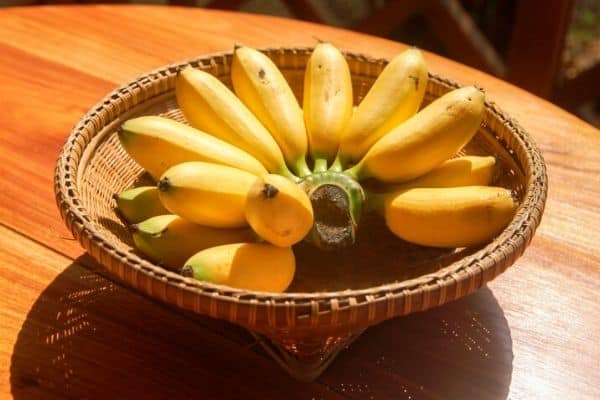 lady finger bananas in a bowl