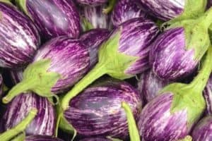 Read more about the article How To Harvest Eggplants