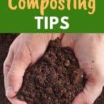 summer compost