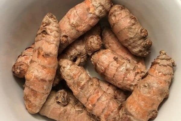 picking turmeric