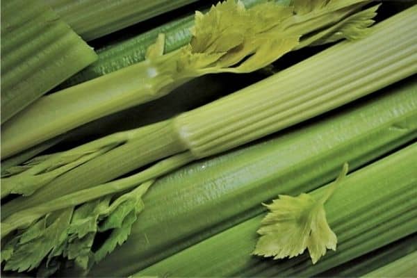 celery stalks