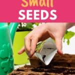 planting small flower seeds