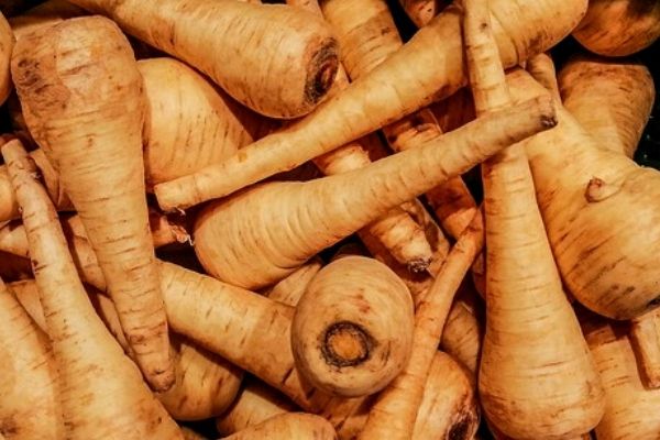 parsnips