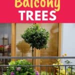 trees for balconies