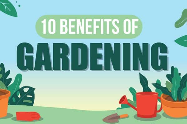 Read more about the article 10 Benefits of Gardening (Infographic)